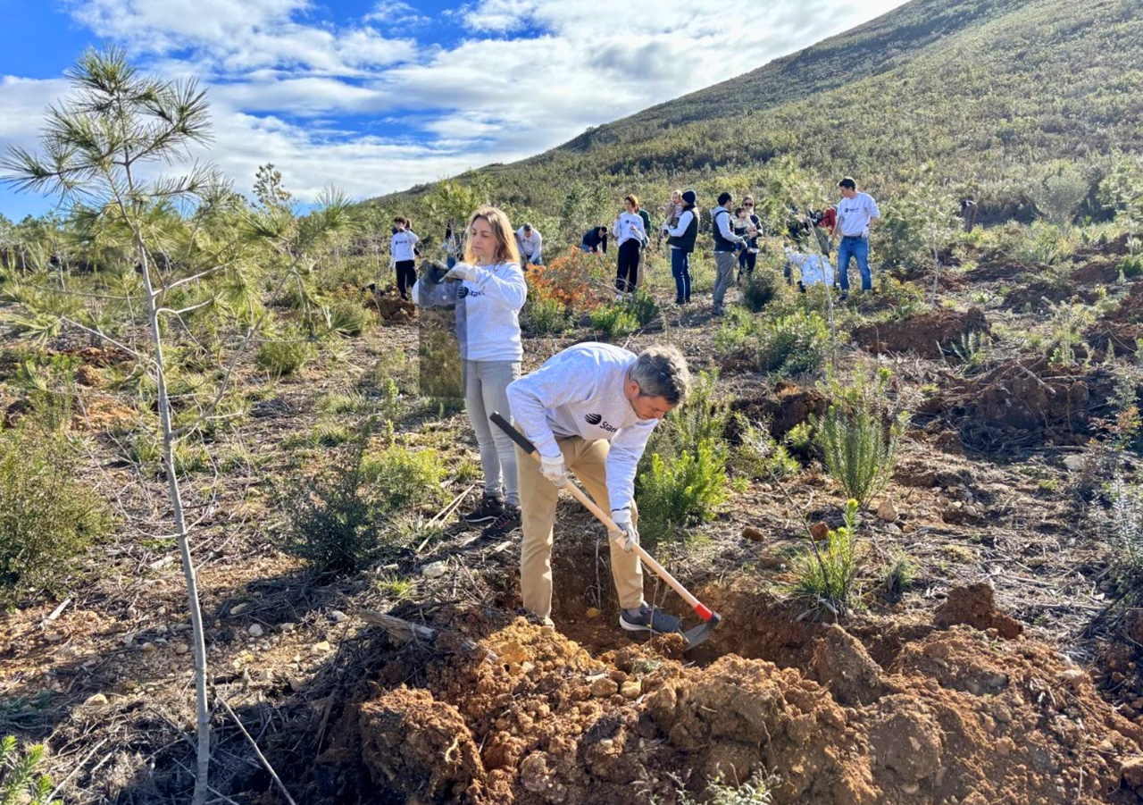 Empleados de Statkraft y WWF participan en una reforestaci&oacute;n en Cortes de Pall&aacute;s, Valencia 