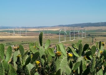 Parque eólico La Herrería Cádiz Statkraft