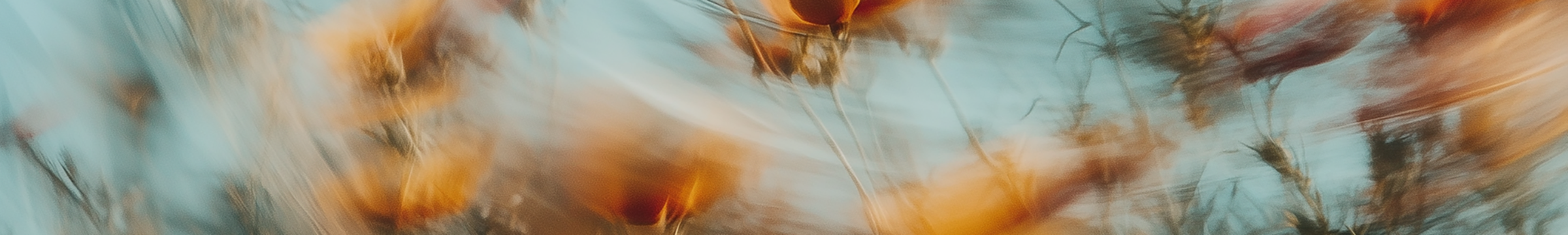 Hombre montando su bicicleta entre los árboles y gras